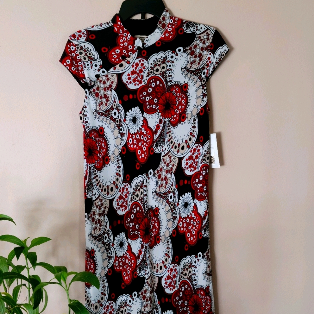 Canvasbacks dress 👗
